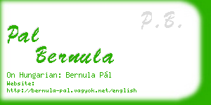 pal bernula business card
