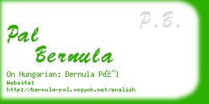pal bernula business card